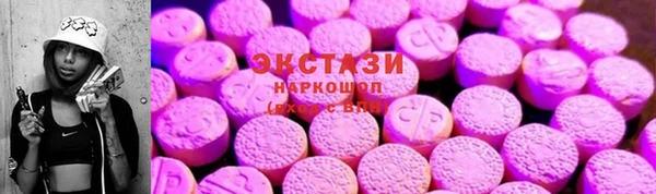 мдпв Бородино