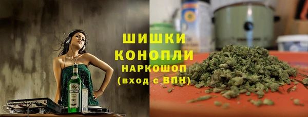 мдпв Бородино