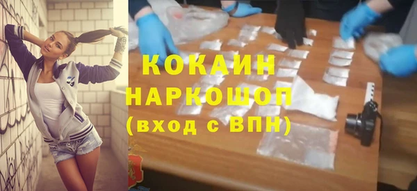 шишки Верхний Тагил