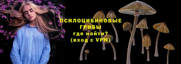 мдпв Бородино