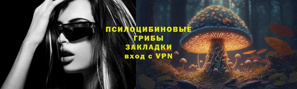 шишки Верхний Тагил