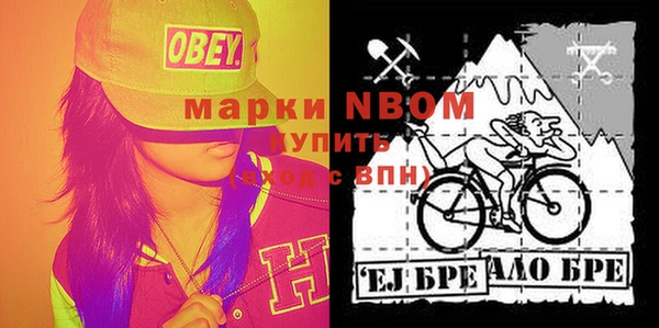 шишки Верхний Тагил