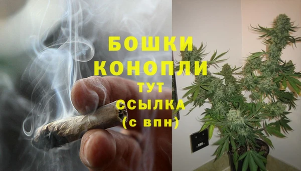 шишки Верхний Тагил