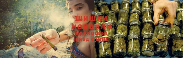 гашик Бугульма
